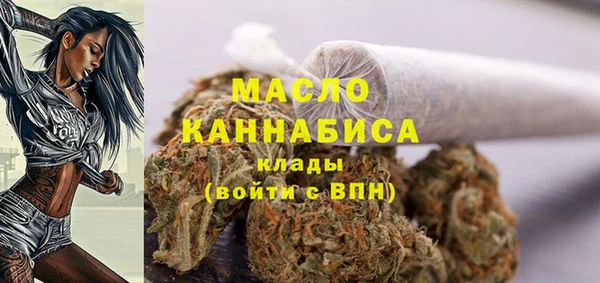 МДПВ Нефтегорск